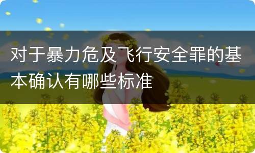 对于暴力危及飞行安全罪的基本确认有哪些标准