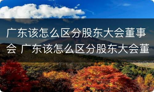 广东该怎么区分股东大会董事会 广东该怎么区分股东大会董事会委员