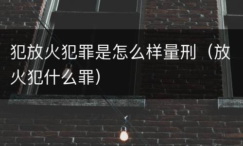 犯放火犯罪是怎么样量刑（放火犯什么罪）