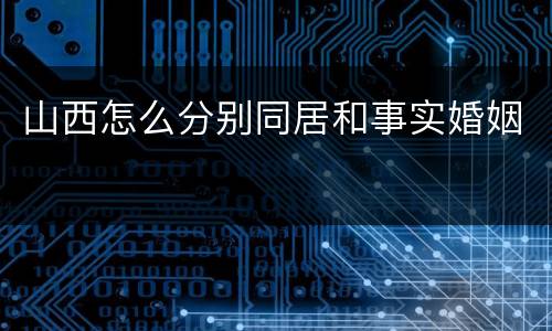 山西怎么分别同居和事实婚姻