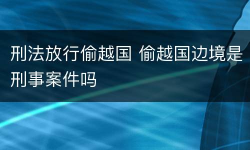 刑法放行偷越国 偷越国边境是刑事案件吗