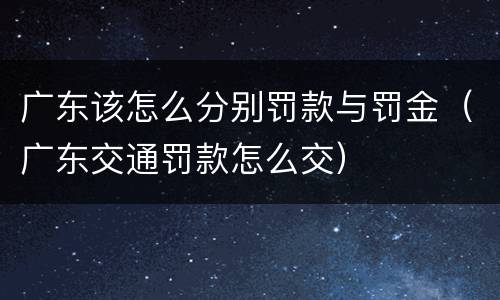 广东该怎么分别罚款与罚金（广东交通罚款怎么交）