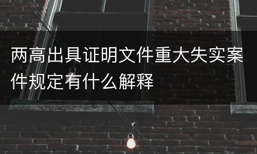 两高出具证明文件重大失实案件规定有什么解释