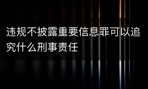 违规不披露重要信息罪可以追究什么刑事责任