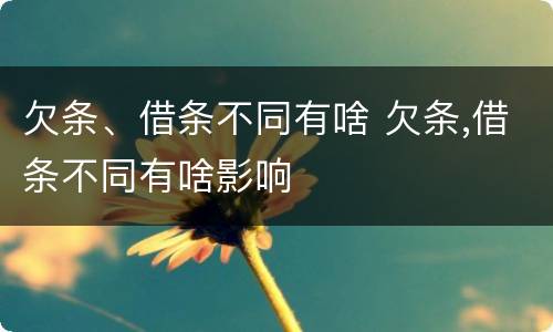 欠条、借条不同有啥 欠条,借条不同有啥影响