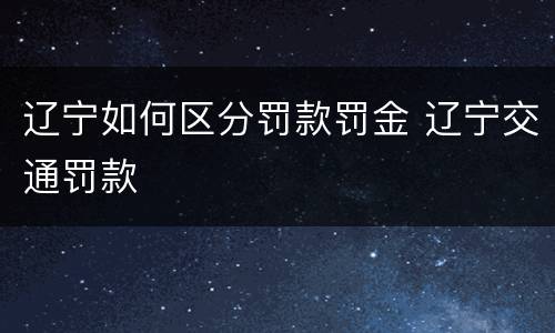 辽宁如何区分罚款罚金 辽宁交通罚款