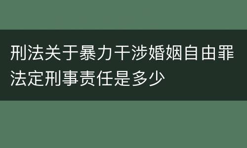 刑法关于暴力干涉婚姻自由罪法定刑事责任是多少
