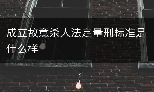 成立故意杀人法定量刑标准是什么样