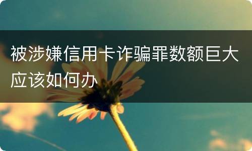 被涉嫌信用卡诈骗罪数额巨大应该如何办