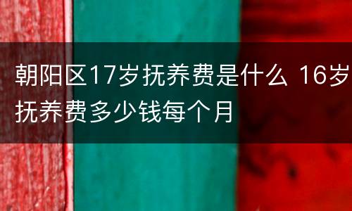 朝阳区17岁抚养费是什么 16岁抚养费多少钱每个月