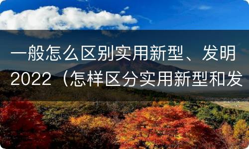 一般怎么区别实用新型、发明2022（怎样区分实用新型和发明专利）
