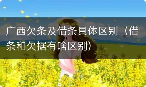 广西欠条及借条具体区别（借条和欠据有啥区别）