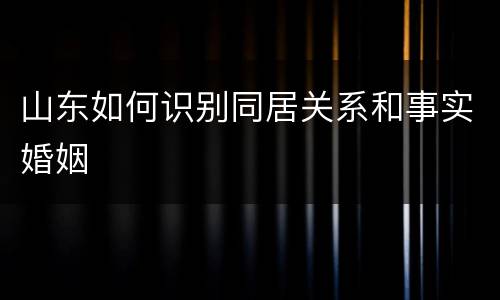 山东如何识别同居关系和事实婚姻