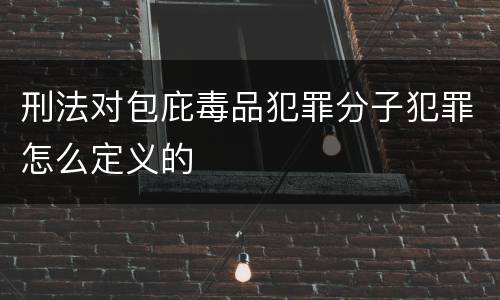 刑法对包庇毒品犯罪分子犯罪怎么定义的