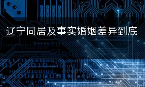 辽宁同居及事实婚姻差异到底