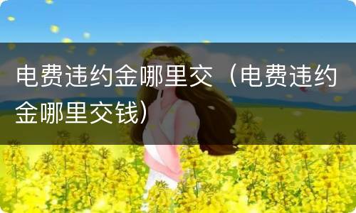 电费违约金哪里交（电费违约金哪里交钱）