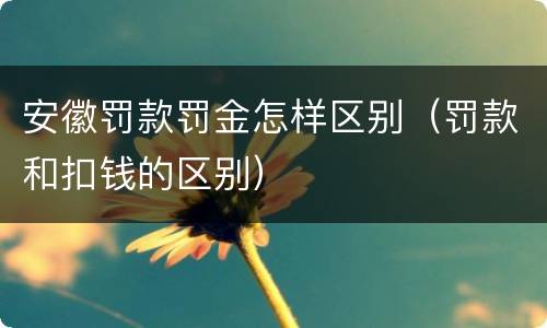 安徽罚款罚金怎样区别（罚款和扣钱的区别）