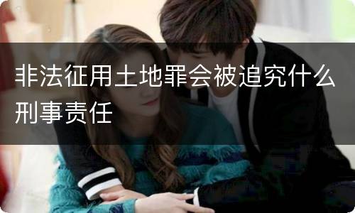非法征用土地罪会被追究什么刑事责任