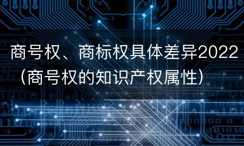 商号权、商标权具体差异2022（商号权的知识产权属性）
