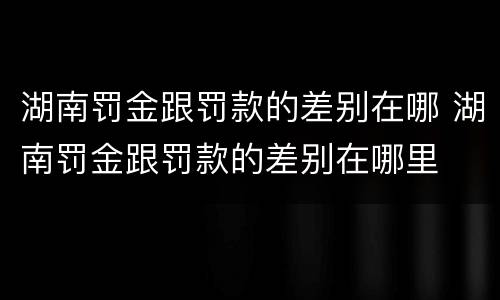 湖南罚金跟罚款的差别在哪 湖南罚金跟罚款的差别在哪里