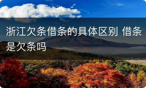 浙江欠条借条的具体区别 借条是欠条吗