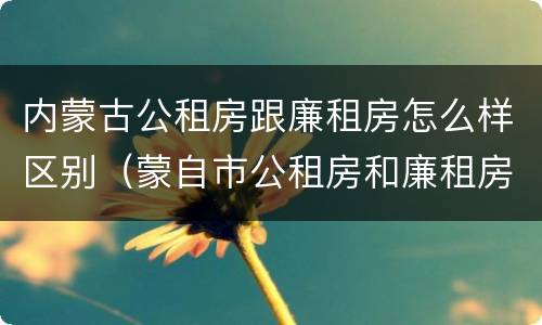 内蒙古公租房跟廉租房怎么样区别（蒙自市公租房和廉租房）