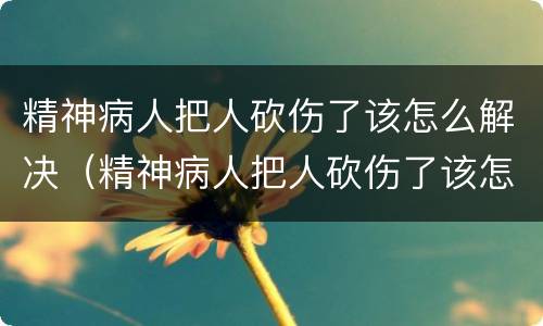 精神病人把人砍伤了该怎么解决（精神病人把人砍伤了该怎么解决伤情）