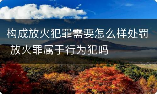 构成放火犯罪需要怎么样处罚 放火罪属于行为犯吗