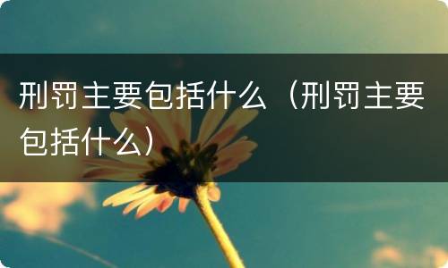 刑罚主要包括什么（刑罚主要包括什么）