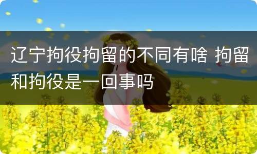 辽宁拘役拘留的不同有啥 拘留和拘役是一回事吗