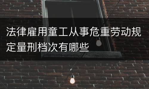 法律雇用童工从事危重劳动规定量刑档次有哪些
