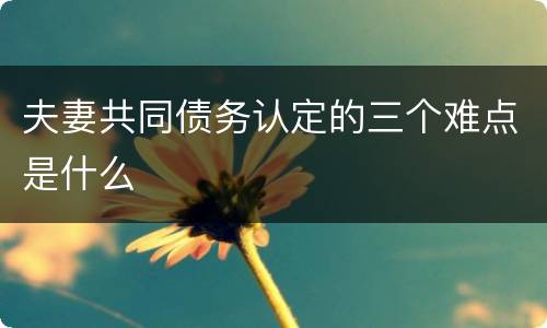 夫妻共同债务认定的三个难点是什么