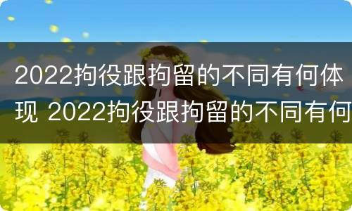 2022拘役跟拘留的不同有何体现 2022拘役跟拘留的不同有何体现呢