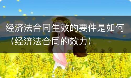 经济法合同生效的要件是如何（经济法合同的效力）