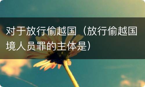 对于放行偷越国（放行偷越国境人员罪的主体是）