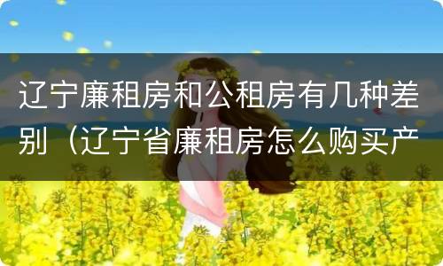 辽宁廉租房和公租房有几种差别（辽宁省廉租房怎么购买产权）