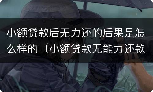 小额贷款后无力还的后果是怎么样的（小额贷款无能力还款怎么办）