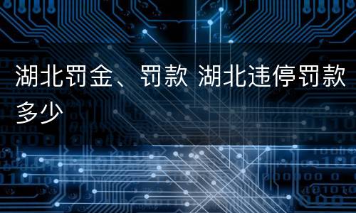 湖北罚金、罚款 湖北违停罚款多少