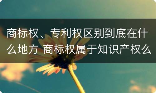 商标权、专利权区别到底在什么地方 商标权属于知识产权么