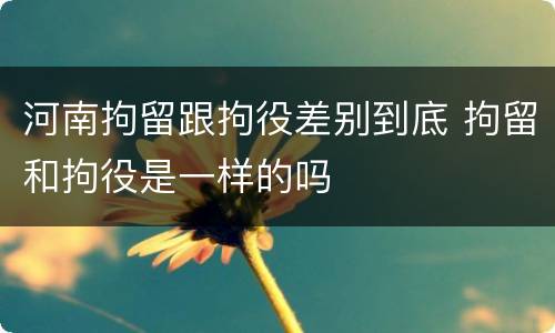 河南拘留跟拘役差别到底 拘留和拘役是一样的吗