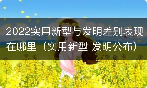 2022实用新型与发明差别表现在哪里（实用新型 发明公布）