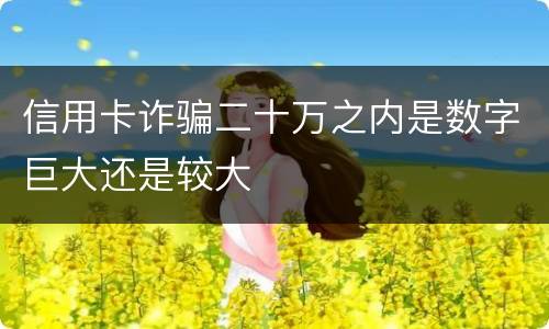 信用卡诈骗二十万之内是数字巨大还是较大 信用卡诈骗二十万之内是数字巨大还是较大