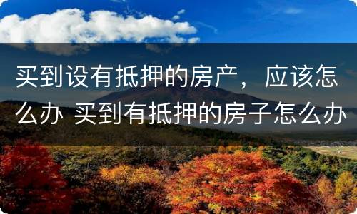 买到设有抵押的房产，应该怎么办 买到有抵押的房子怎么办