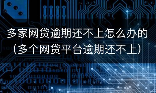 多家网贷逾期还不上怎么办的（多个网贷平台逾期还不上）