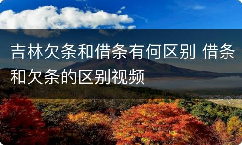 吉林欠条和借条有何区别 借条和欠条的区别视频