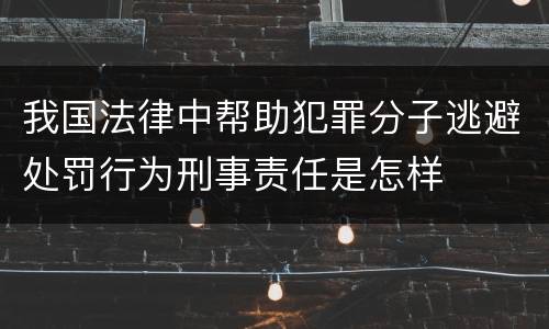 我国法律中帮助犯罪分子逃避处罚行为刑事责任是怎样