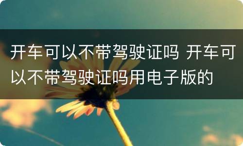开车可以不带驾驶证吗 开车可以不带驾驶证吗用电子版的