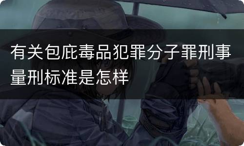 有关包庇毒品犯罪分子罪刑事量刑标准是怎样
