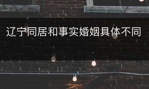 辽宁同居和事实婚姻具体不同