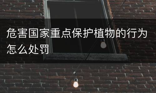 危害国家重点保护植物的行为怎么处罚